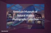 American Museum of Natural History Photography Collection Diana Rosenthal.