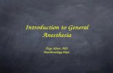 Introduction to General Anesthesia Özge Köner, MD Anesthesiology Dept.