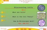 Discovering Cells 10.2 What are Cells? What is the Cell Theory? How do Microscopes Work? Pgs. 368-375 Cells and Life Processes Ms. De Los Rios 6 th Grade.