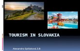 Alexandra Spišaková,3.B. Content  1.Informations  2.Bratislava  3.Patince  4.Aquapark Tatralandia  5.Orava castle  6.Zemplínska šírava.