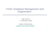 1 IT420: Database Management and Organization SQL part 3 7 February 2006 Adina Crăiniceanu adina.