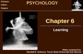 Chapter 6 Learning Slides prepared by Randall E. Osborne, Texas State University-San Marcos PSYCHOLOGY Schacter Gilbert Wegner.