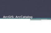 ArcGIS: ArcCatalog. Agenda The ArcCatalog Interface General ArcCatalog ▫Navigating directories ▫Preview data ▫View metadata Advanced ArcCatalog ▫Modifying.