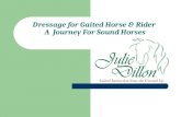 Dressage for Gaited Horse & Rider A Journey For Sound Horses.