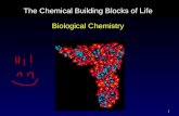 1 The Chemical Building Blocks of Life Biological Chemistry.