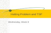 Halting Problem and TSP Wednesday, Week 8. Background - Halting Problem Common error: Program goes into an infinite loop. Wouldn’t it be nice to have.