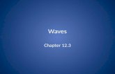 Waves Chapter 12.3. Wave motion A wave is the motion of a disturbance.