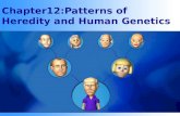Chapter12:Patterns of Heredity and Human Genetics.