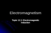 Electromagnetism Topic 12.1 Electromagnetic Induction.