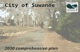 City of Suwanee 2030 comprehensive plan. TODAY’S AGENDA Process Update Community Agenda Framework “Compass” Review  Images and Questions  Comp Plan.
