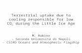 Terrestrial uptake due to cooling responsible for low CO 2 during the Little Ice Age M. Rubino - Seconda Università di Napoli - CSIRO Oceans and Atmospheric.