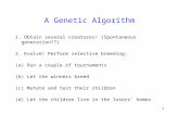 1 A Genetic Algorithm 1. Obtain several creatures! (Spontaneous generation??) 2. Evolve! Perform selective breeding: (a) Run a couple of tournaments (b)