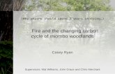 (Why anyone should spend 3 years studying…) …Fire and the changing carbon cycle of miombo woodlands Casey Ryan Supervisors: Mat Williams, John Grace and.