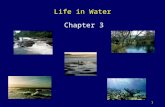 1 Life in Water Chapter 3. 2 The Hydrologic Cycle Over 71% of the earth’s surface is covered by water:  Oceans contain 97%.  Polar ice caps and glaciers.