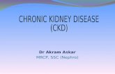 Dr Akram Askar MRCP, SSC (Nephro). Objectives 1.To understand the basicinformations on etiology,staging,diagnosis and treatment. 2.To know complications.