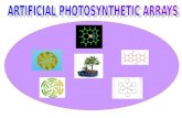 Contents:  Introduction.  Natural Photosynthesis.  Antenna Effect.  Chromophores used in Artificial photosynthetic arrays:  Porphyrins  Dendrimers.