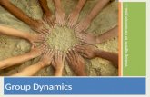 Group Dynamics Working together for the common good……
