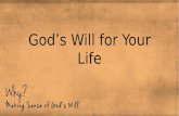 God’s Will for Your Life. Romans 12:1-2 (NIV) Therefore, I urge you, brothers and sisters, in view of God’s mercy, to offer your bodies as a living sacrifice,