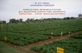 Dr. R.V. SINGH GROUNDNUT BREEDER AGRICULTURAL RESEARCH STATION (S.K. RAJASTHAN AGRICULTURE UNIVERSITY) DURGAPURA – JAIPUR 302018 (RAJASTHAN.)