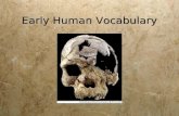 Early Human Vocabulary. Hominids  members of a family of primates (monkeys and humans) which include humans and their fossil ancestors.