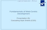 Presentation (5): Cascading Style Sheets (CSS) Fundamentals of Web-Centric Development.