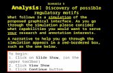 Analysis: Discovery of possible regulatory motifs What follows is a simulation of the proposed graphical interface. As you go through the simulation please.