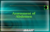 Assessment of Abdomen. CHAPTER Examination InspectionInspection AuscultationAuscultation PercussionPercussion PalpationPalpation 9.
