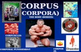 CORPUS (CORPORA) CORPORAL PUNISHMENT CORPORAL CORPUSCLES THE BODY (BODIES)