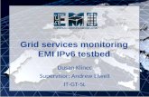 Grid services monitoring EMI IPv6 testbed Dusan Klinec Supervisor: Andrew Elwell IT-GT-SL.