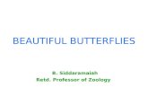 BEAUTIFUL BUTTERFLIES B. Siddaramaiah Retd. Professor of Zoology.