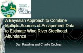 A Bayesian Approach to Combine Multiple Sources of Escapement Data to Estimate Wind River Steelhead Abundance Dan Rawding and Charlie Cochran.