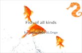 Fish of all kinds by: Genevieve St.Onge. Fish living Fish live a life cycle no other animal lives. Yes whales or dolphins live in the water but they take.