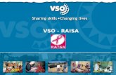 VSO - RAISA. n Who are we? n What are our tools? n So What?
