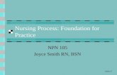 Slide 1 1 Nursing Process: Foundation for Practice NPN 105 Joyce Smith RN, BSN.