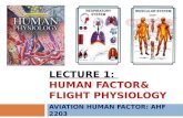 LECTURE 1: HUMAN FACTOR& FLIGHT PHYSIOLOGY AVIATION HUMAN FACTOR: AHF 2203.