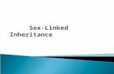 Sex-Linked Inheritance.  Genetically, what determines whether a fetus is a boy or girl?  Who determines gender, Mom or Dad? Explain.