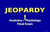 Template by Bill Arcuri, WCSD Click Once to Begin JEOPARDY! Anatomy / Physiology Final Exam.