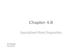 Chapter 4.8 Specialized Plant Organelles AP Biology Fall 2010.