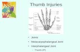 Thumb Injuries JointsJoints Metacarpophalangeal JointMetacarpophalangeal Joint Interphalangeal JointInterphalangeal Joint –Thumb (IP)