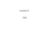 Lesson 6 Soil. Think About It… Can plants be grown in pure sand?