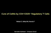 Cure of Colitis by CD4 + CD25 + Regulatory T Cells Barrette Kathleen – Dreesen Erwin Mottet C, Uhlig HH, Powrie F.