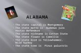 The state capital is Montgomery The state motto is Audemus jura nostra defendere The state nickname is Cotton State The state flower is Camellia The state.