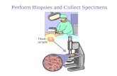 Perform Biopsies and Collect Specimens. References –C288 Clinical Procedures for Physician Assistants –C348 Minor Surgery A Text and Atlas.