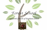 Forest School Lapworth Church of England School. What is Forest School? " Forest School is an inspirational process, that offers the children and young.
