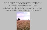 GRASSY RECONSTRUCTION: A Plant Competition Trial and insights into the relative competitiveness of two Cumberland Plain grass species.