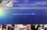 NUI Maynooth Applying to the CAO. The College Experience Applying to the CAO Intended to simplify Applications to Third Level Applicants list courses.