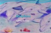 Ashley Kenagy. How do dolphins sleep?  cannot go into a deep sleep  Then they would suffocate.