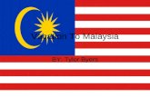Vacation To Malaysia BY: Tylor Byers. Population and Religion Population: 27,467,837 Main Religions Islam 60.4% Buddhism 19.2% Christian 9.1% Hindu 6.3%