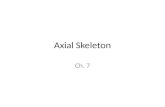 Axial Skeleton Ch. 7. Skull 22 bones Cranial (8) – Frontal, parietal (2), temporal (2), occipital, sphenoid, ethmoid Facial (14) – Nasal (2), maxillae.