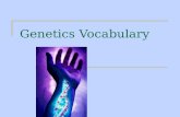 Genetics Vocabulary. Vocabulary Word DefinitionOther Things to Know… Genetics The field of Biology devoted to understanding how traits are passed from.